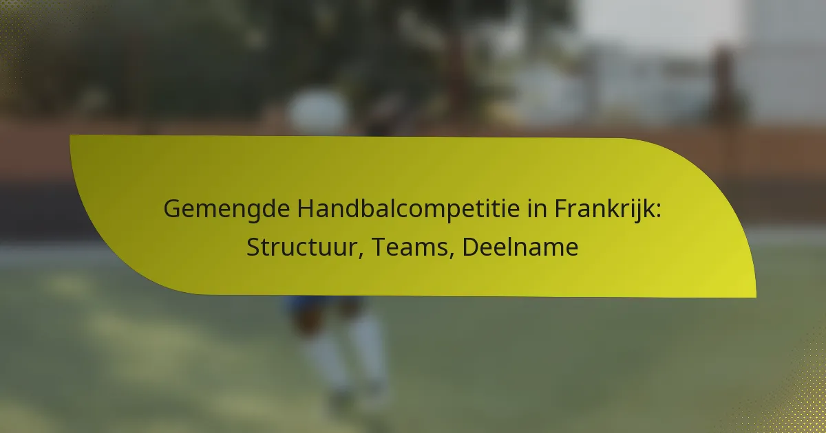 Gemengde Handbalcompetitie in Frankrijk: Structuur, Teams, Deelname