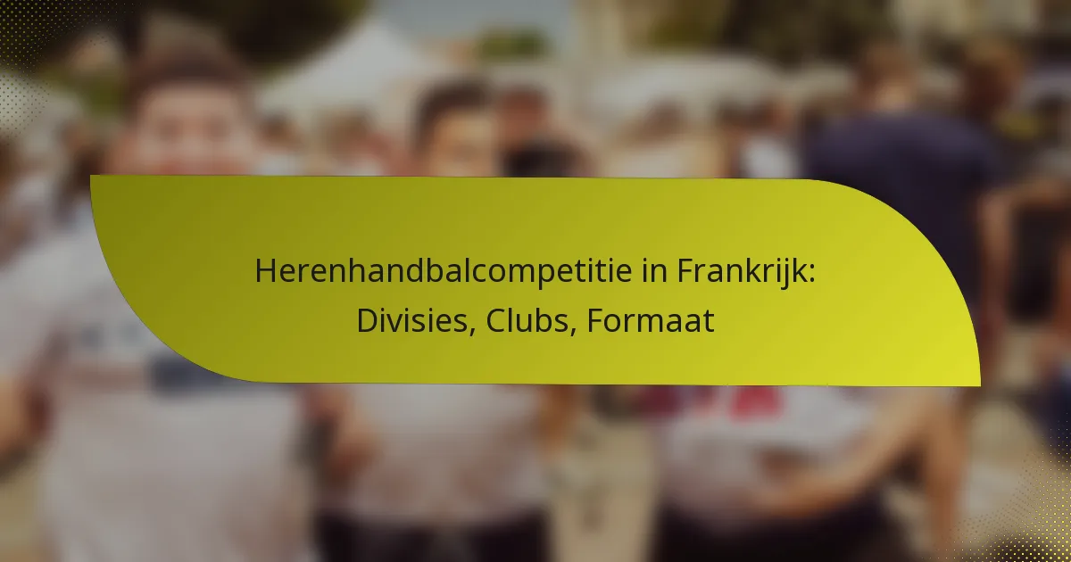Herenhandbalcompetitie in Frankrijk: Divisies, Clubs, Formaat