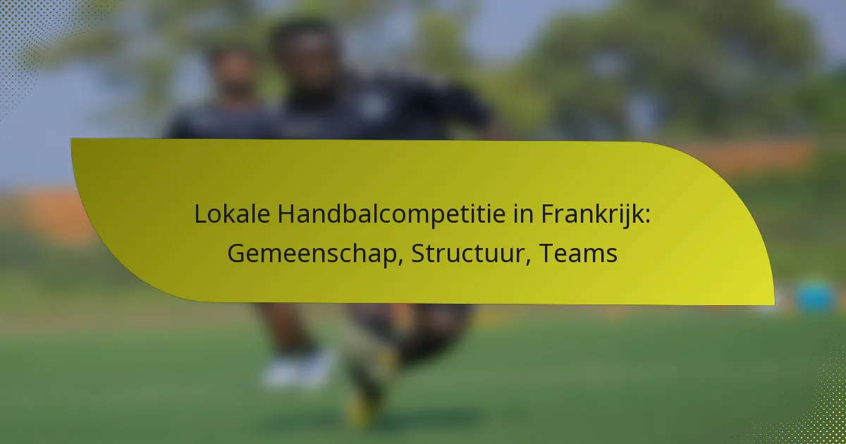 Lokale Handbalcompetitie in Frankrijk: Gemeenschap, Structuur, Teams