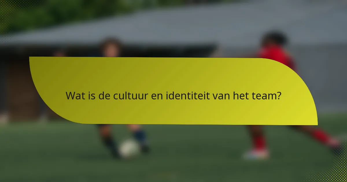 Wat is de cultuur en identiteit van het team?