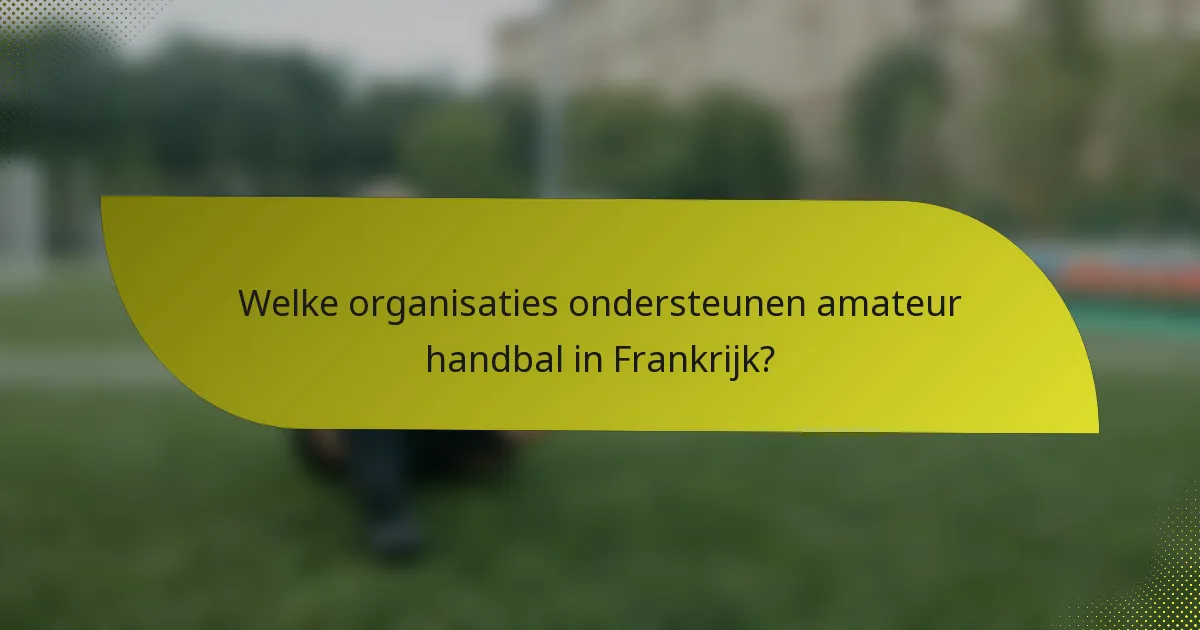 Welke organisaties ondersteunen amateur handbal in Frankrijk?