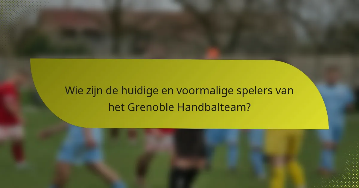 Wie zijn de huidige en voormalige spelers van het Grenoble Handbalteam?