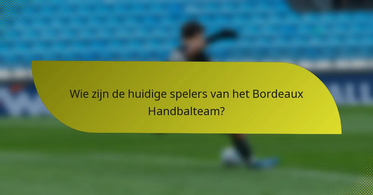Wie zijn de huidige spelers van het Bordeaux Handbalteam?